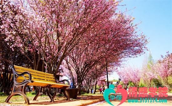 对老公失望绝望的句子有哪些呢?婚后,两个人在一起生活的时候,你会因为你丈夫对你不好而感到寒心吗?平平淡淡的日子是幸福的,但是如果有一天他不在乎你,你会感到寒心吗?下面是对老公失望绝望的句子! 对老公失望绝望的句子有哪些呢?婚后,两个人在一起生活的时候,你会因为你丈夫对你不好而感到寒心吗?平平淡淡的日子是幸福的,但是如果有一天他不在乎你,你会感到寒心吗?下面是对老公失望绝望的句子!