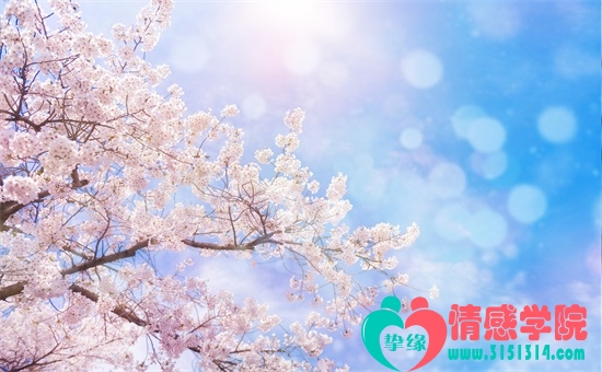 离婚后悔的句子,失去了才懂得珍惜 离婚后悔的句子,失去了才懂得珍惜