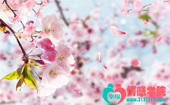 从朋友圈看出男人想你的方法,简单观察即可 从朋友圈看出男人想你的方法,简单观察即可