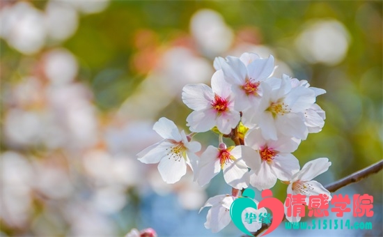 庆余年这名字什么意思,出自哪里?倍受期待的《庆余年》终于开播了,不过对于大多数观众来说,仅仅是剧名就让人感到有些难以理解,虽然剧中对“庆余年”的来历也有解释,但大家似乎还是一知半解。庆余年这名字什么意思,出自哪里? 庆余年这名字什么意思,出自哪里?倍受期待的《庆余年》终于开播了,不过对于大多数观众来说,仅仅是剧名就让人感到有些难以理解,虽然剧中对“庆余年”的来历也有解释,但大家似乎还是一知半解。庆余年这名字什么意思,出自哪里?