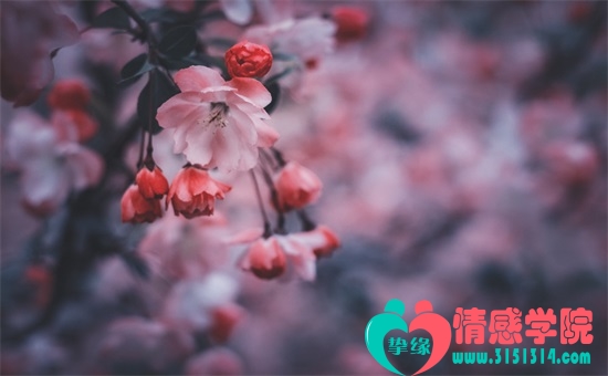 十六岁是叛逆期的高峰怎么办, 别跟孩子硬碰硬 十六岁是叛逆期的高峰怎么办, 别跟孩子硬碰硬