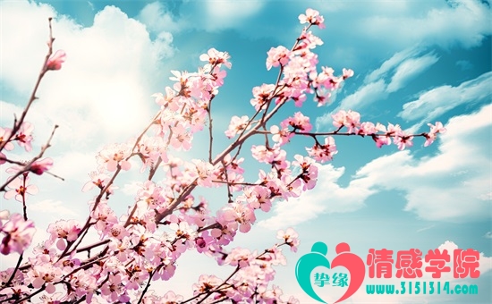 婚姻问题的根本出在哪?就在这三点里! 婚姻问题的根本出在哪?就在这三点里!