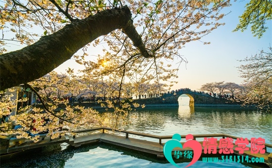 挚缘情感-专注挽救婚姻十余年 挚缘情感-专注挽救婚姻十余年