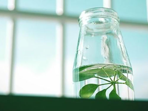 两个人之间最重要的是什么?别等错过了才后悔 两个人之间最重要的是什么?别等错过了才后悔