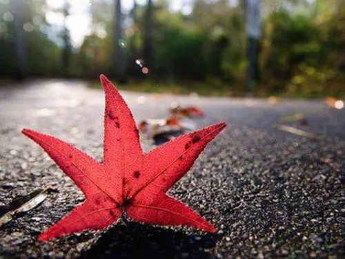 pua男的手段你知道吗?别被PUA男欺骗感情了 pua男的手段你知道吗?别被PUA男欺骗感情了