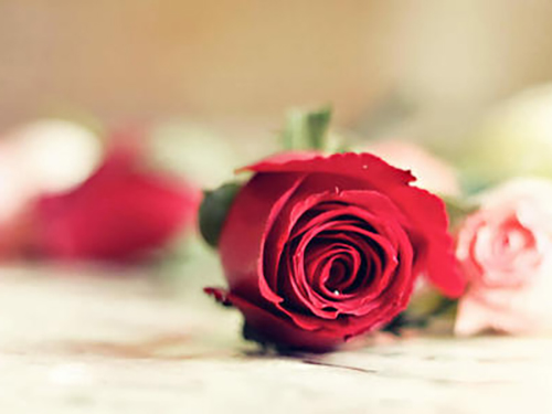 四十岁的女人,婚姻生活还幸福吗? 四十岁的女人,婚姻生活还幸福吗?