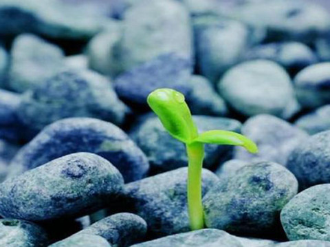 和情人分手感人落泪的一段话,感人至极! 和情人分手感人落泪的一段话,感人至极!