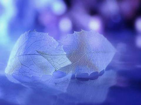 情人分手感言伤感句,每一句都是满满的回忆 情人分手感言伤感句,每一句都是满满的回忆