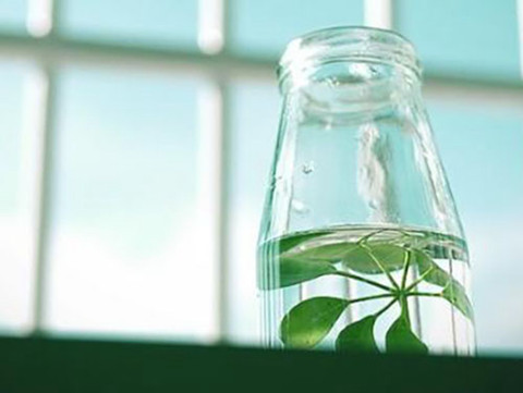 治男人出轨小妙招(老公出轨最狠的一招) 治男人出轨小妙招(老公出轨最狠的一招)