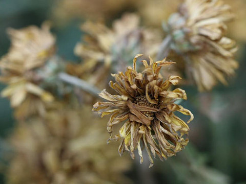 对付天蝎男的突然消失( 天蝎男发现自己动情了) 对付天蝎男的突然消失( 天蝎男发现自己动情了)