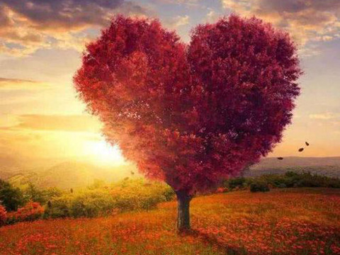 高情商女人挽回男人时说的话,一招让绝情男人回头 高情商女人挽回男人时说的话,一招让绝情男人回头