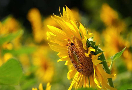 老公说想我了我该怎么回复,聪明人这么说 老公说想我了我该怎么回复,聪明人这么说