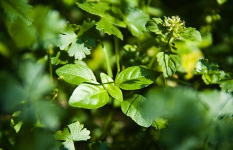 适合老公出轨后发的朋友圈(暗示老公出轨的朋友圈) 适合老公出轨后发的朋友圈(暗示老公出轨的朋友圈)