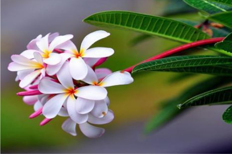 家暴聪明的解决方法(冷暴力最怕的绝招) 家暴聪明的解决方法(冷暴力最怕的绝招)