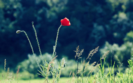 男人一旦对婚外情人动情(婚外情人聊天忌讳话题) 男人一旦对婚外情人动情(婚外情人聊天忌讳话题)