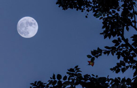 摩羯座男生的性格(摩羯男性格解析) 摩羯座男生的性格(摩羯男性格解析)