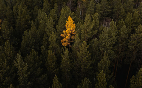 分手难受怎么缓解(三种方法走出分手后痛苦) 分手难受怎么缓解(三种方法走出分手后痛苦)