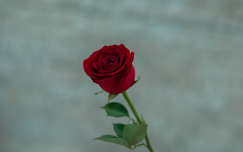 分手难受怎么缓解(三种方法走出分手后痛苦) 分手难受怎么缓解(三种方法走出分手后痛苦)