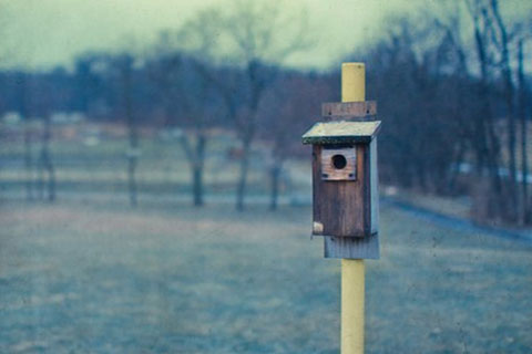 挽留女朋友的话真实点(向女友道歉挽回的话) 挽留女朋友的话真实点(向女友道歉挽回的话)