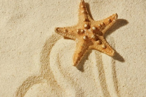 挽回女友最有效的句子(挽回女友最有效的话) 挽回女友最有效的句子(挽回女友最有效的话)