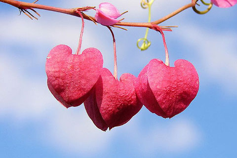 挽回女友最有效的句子(挽回女友最有效的话) 挽回女友最有效的句子(挽回女友最有效的话)