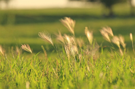 对婚姻极度伤心绝望的句子(对婚姻绝望的说说) 对婚姻极度伤心绝望的句子(对婚姻绝望的说说)