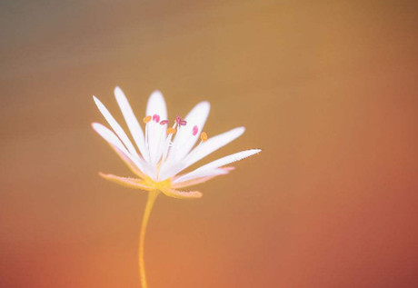 对婚姻失望心酸的句子(看完好想大哭一场) 对婚姻失望心酸的句子(看完好想大哭一场)