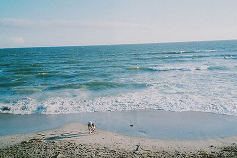 快分手了怎么挽回男友的话(挽回男朋友暖心的话) 快分手了怎么挽回男友的话(挽回男朋友暖心的话)