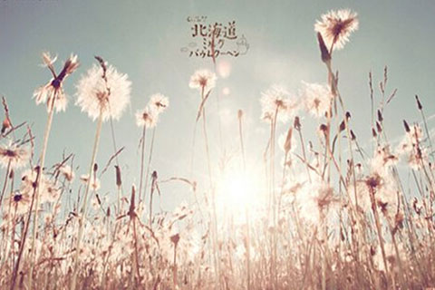 无奈分手时最感人的话(无奈分手的句子) 无奈分手时最感人的话(无奈分手的句子)