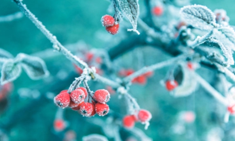 男人为何和小三断不了?原因有这些 男人为何和小三断不了?原因有这些