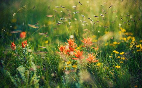 分手后想要复合应该怎么说(用这3种话去挽回男人) 分手后想要复合应该怎么说(用这3种话去挽回男人)