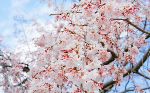 什么话能挽回男人的心(女性朋友们赶紧来学学) 什么话能挽回男人的心(女性朋友们赶紧来学学)