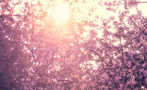 什么话能挽回男人的心(女性朋友们赶紧来学学) 什么话能挽回男人的心(女性朋友们赶紧来学学)