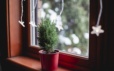怎么对付报复心强的男人(女人要懂得以德报怨) 怎么对付报复心强的男人(女人要懂得以德报怨)
