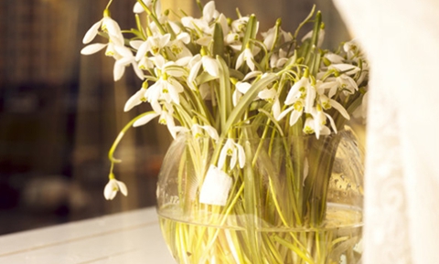 情感挽回专家是不是骗局(个人的选择非常重要) 情感挽回专家是不是骗局(个人的选择非常重要)