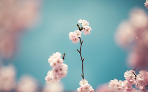 如何婚姻挽救(四大妙招帮你对付小三) 如何婚姻挽救(四大妙招帮你对付小三)