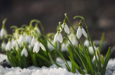 报复男人家暴巧妙方法?下面三种最有效的办法帮助你! 报复男人家暴巧妙方法?下面三种最有效的办法帮助你!
