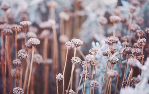 如何挽回前任男朋友(四个有用的方法分享给你) 如何挽回前任男朋友(四个有用的方法分享给你)