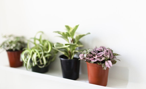 挽回男朋友他不回消息(你需要这样做挽回他) 挽回男朋友他不回消息(你需要这样做挽回他)