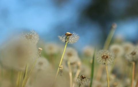 挽回前男友最佳时机(当他出现这些行为时是最好时机) 挽回前男友最佳时机(当他出现这些行为时是最好时机)