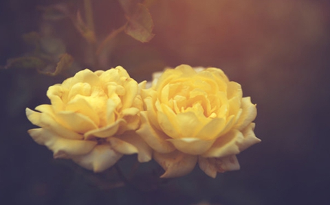 怎么修复双方感情(修复双方感情的十个步骤) 怎么修复双方感情(修复双方感情的十个步骤)