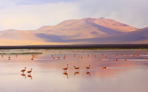想挽回前男友写一段话(总有一句适合你) 想挽回前男友写一段话(总有一句适合你)