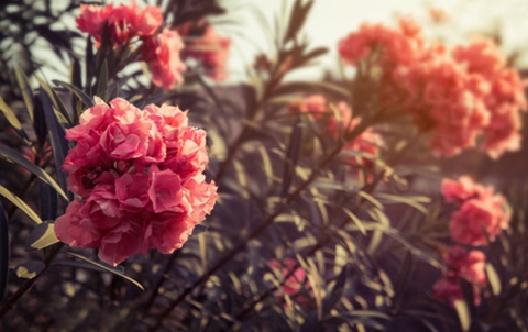 挽回前男友的最佳时间(你真的知道吗) 挽回前男友的最佳时间(你真的知道吗)