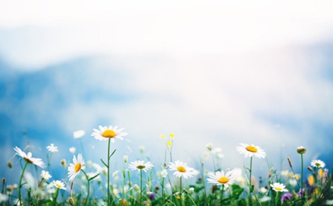 分手想要复合怎么做(定要先想清楚这5个问题) 分手想要复合怎么做(定要先想清楚这5个问题)