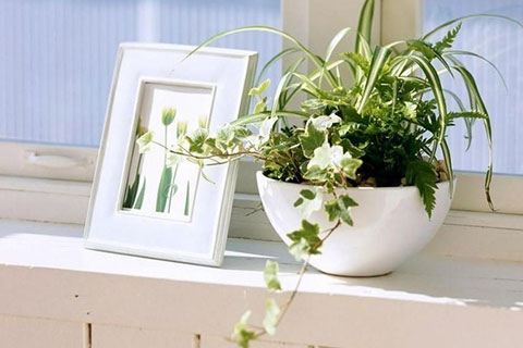 女生挽回男生几率大吗(看你方法对不对) 女生挽回男生几率大吗(看你方法对不对)