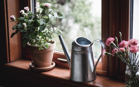 对付愚孝老公最厉害的一招 帮你制服老公 对付愚孝老公最厉害的一招 帮你制服老公