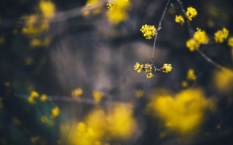 男人主动删除你说明什么 三个答案帮你解惑 男人主动删除你说明什么 三个答案帮你解惑