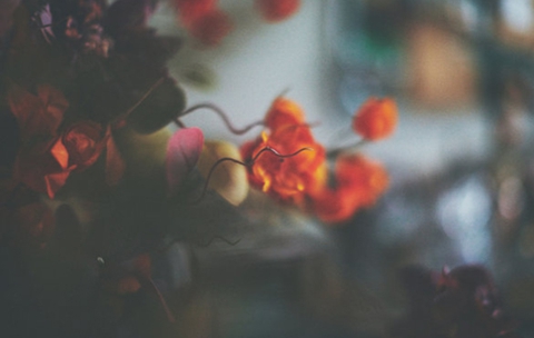 什么样的女人男人容易出轨(这几种女人注意了) 什么样的女人男人容易出轨(这几种女人注意了)