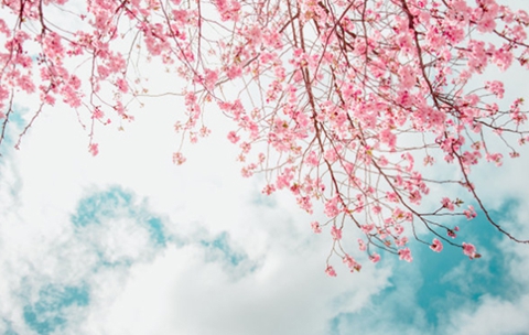 认错挽回女友的话(看完这些例子你就会了) 认错挽回女友的话(看完这些例子你就会了)