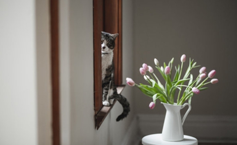 分手后哪些行为说明有复合的机会? 分手后哪些行为说明有复合的机会?